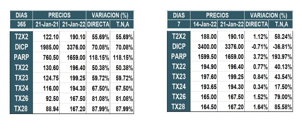 Bonos argentinos emitidos en pesos al 21 de enero 2022