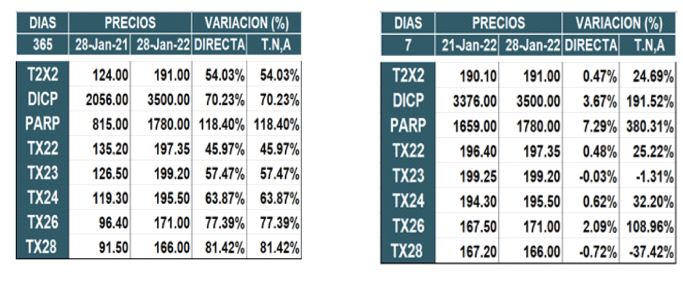  Bonos argentinos en pesos al 28 de enero 2022