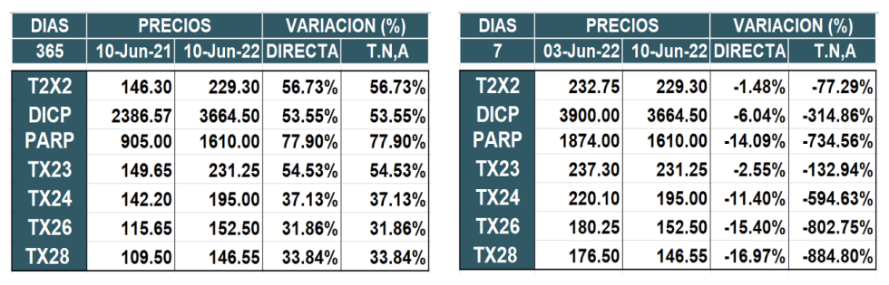 Bonos argentinos en pesos al 10 de junio 2022