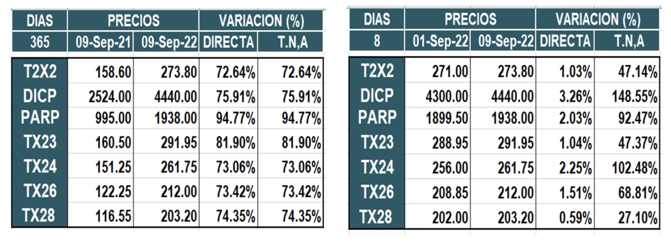 Bonos argentinos en pesos al 9 de septiembre 2022