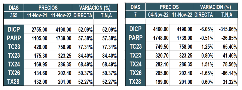 Bonos argentinos en pesos al 11 de noviembre 2022