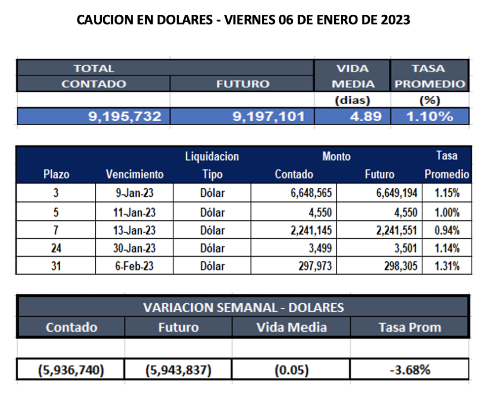 Cauciones bursátiles en dólares al 6 de enero 2023