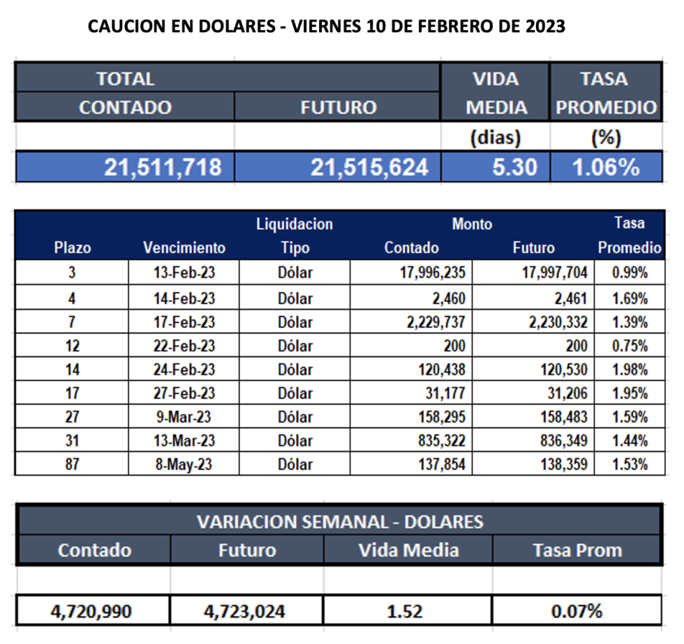 Cauciones bursátiles en dólares al 10 de febrero 2023