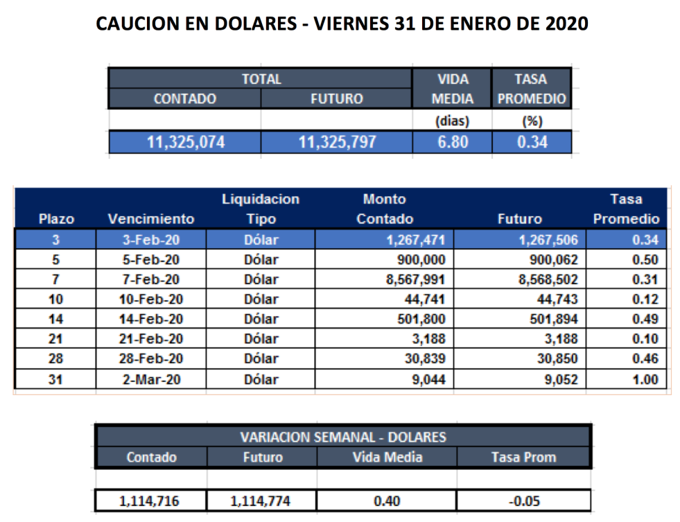 Cauciones en dolares al 31 enero 2020