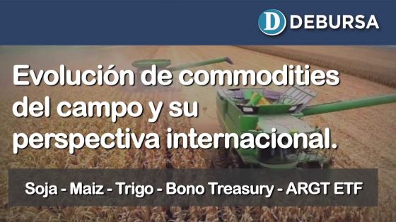 Evolución de los commodities del campo y su análisis en el contexto internacional. 13 noviembre 2020