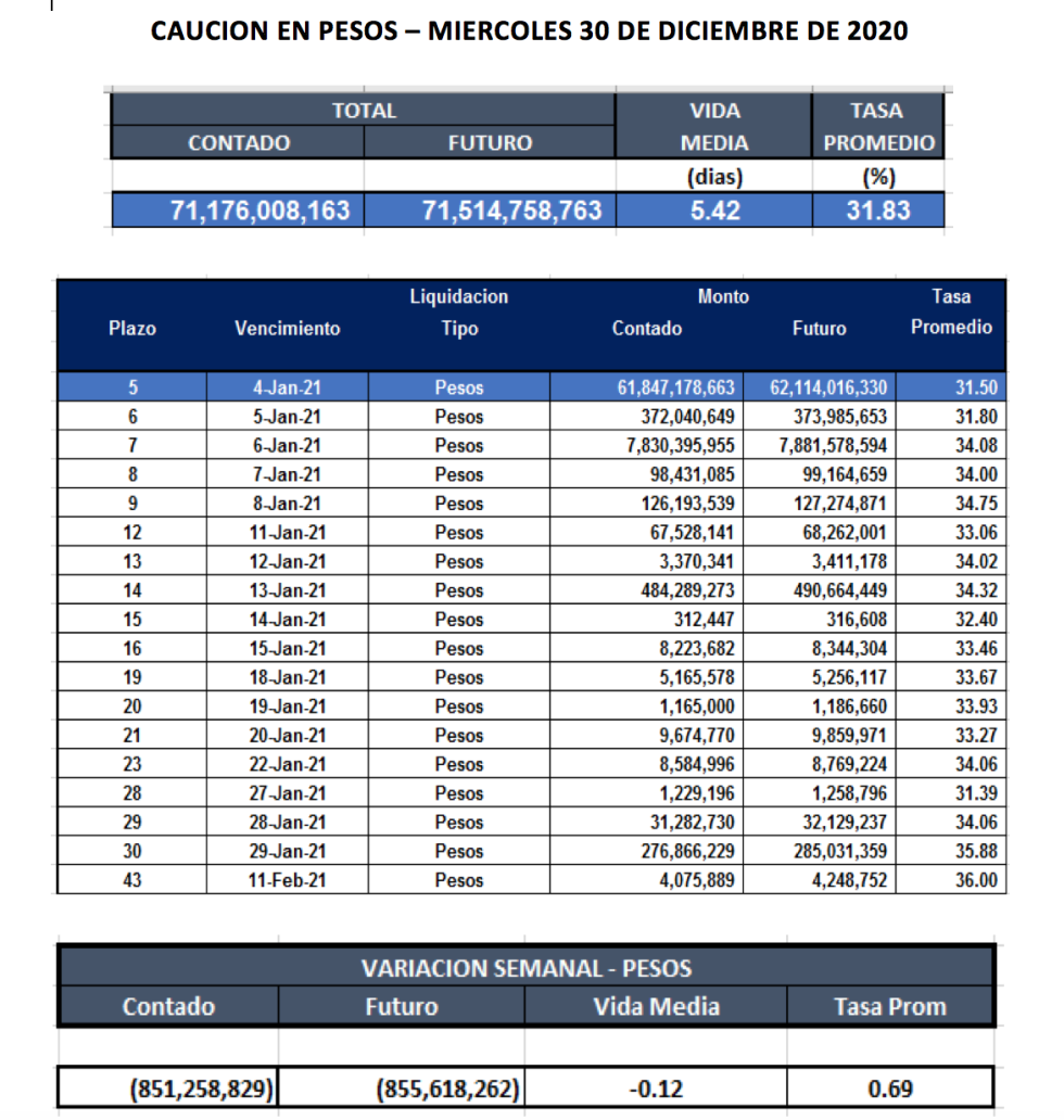 Cauciones bursátiles en pesos al 30 de diciembre 2020