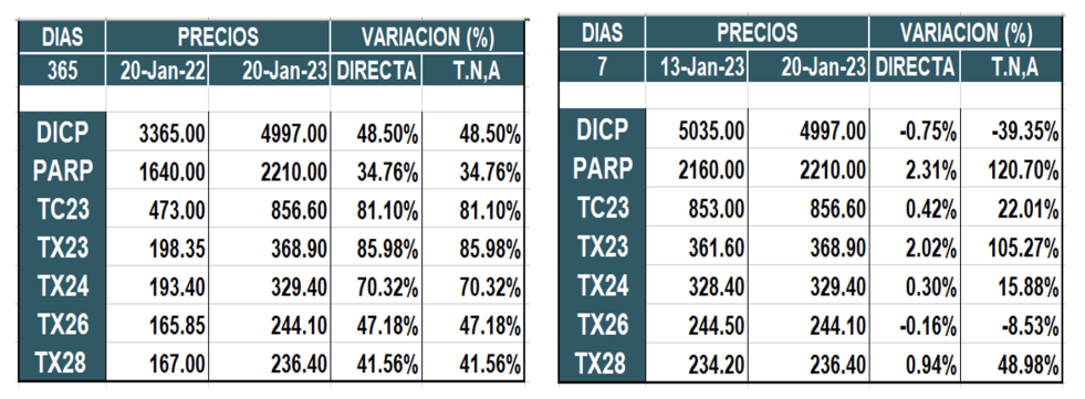 Bonos argentinos en pesos al 20 de enero 2023