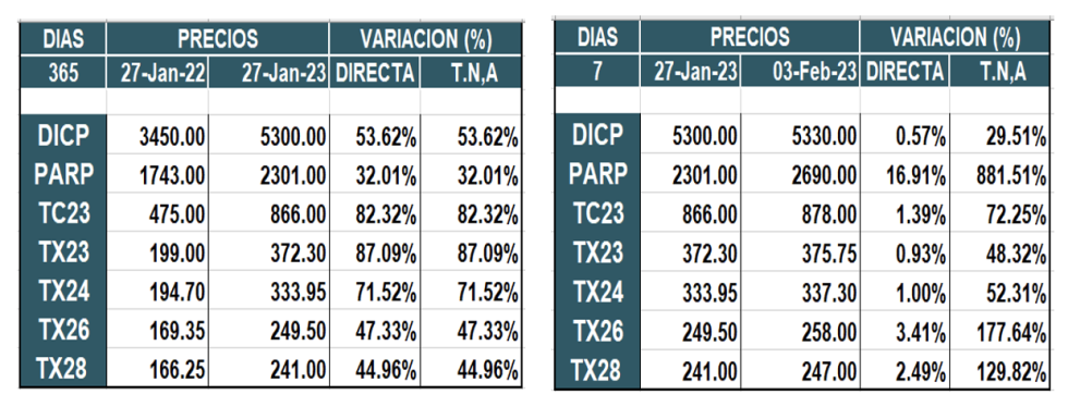 Bonos argentinos en pesos al 3 de febrero 2023