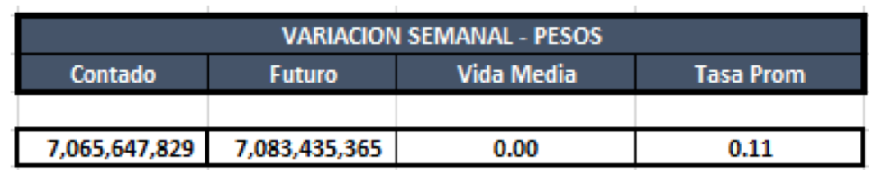 Cauciones en pesos al 31 enero 2020