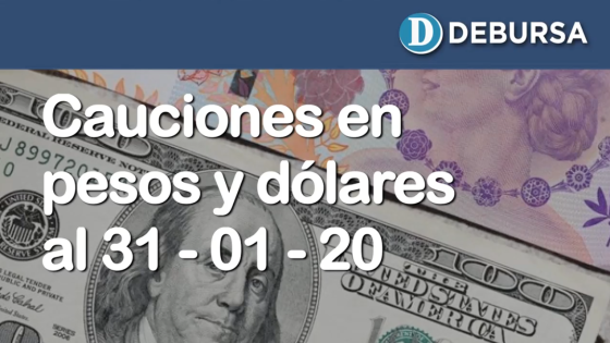Cauciones bursátiles en pesos y dólares al 31 de enero 2020