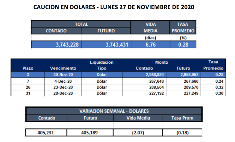 Cauciones bursátiles en dólares al 27 de noviembre 2020