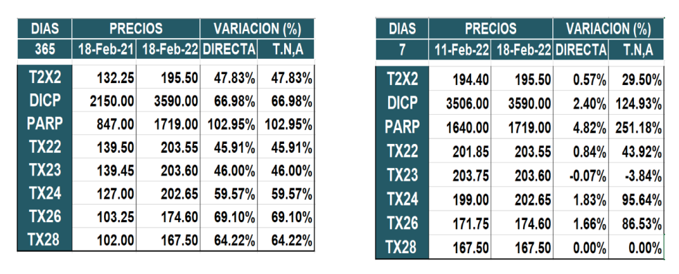 Bonos argentinos en pesos al 18 de febrero 2022