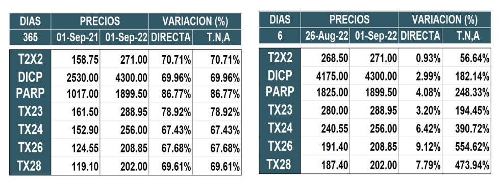 Bonos argentinos en pesos al 2 de septiembre 2022