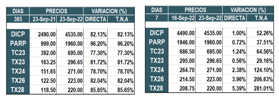 Bonos argentinos en pesos al 23 de septiembre 2022