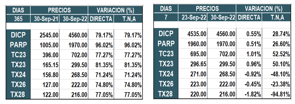 Bonos argentinos en pesos al 30 de septiembre 2022