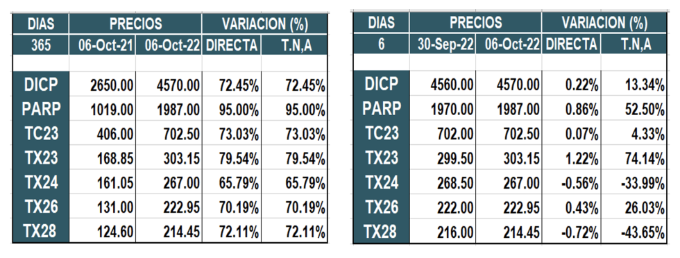 Bonos argentinos en pesos al 6 de octubre 2022