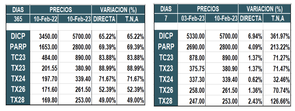 Bonos argentinos en pesos al 10 de febrero 2023