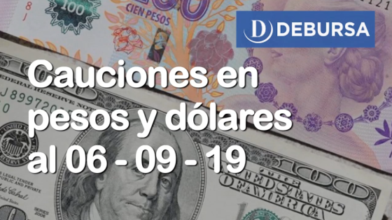  Cauciones bursátiles en pesos y dólares al 6 de septiembre 2019