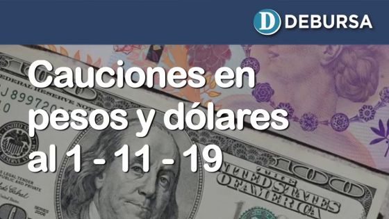 Cauciones bursátiles en pesos y dólares al 1ro de noviembre 2019