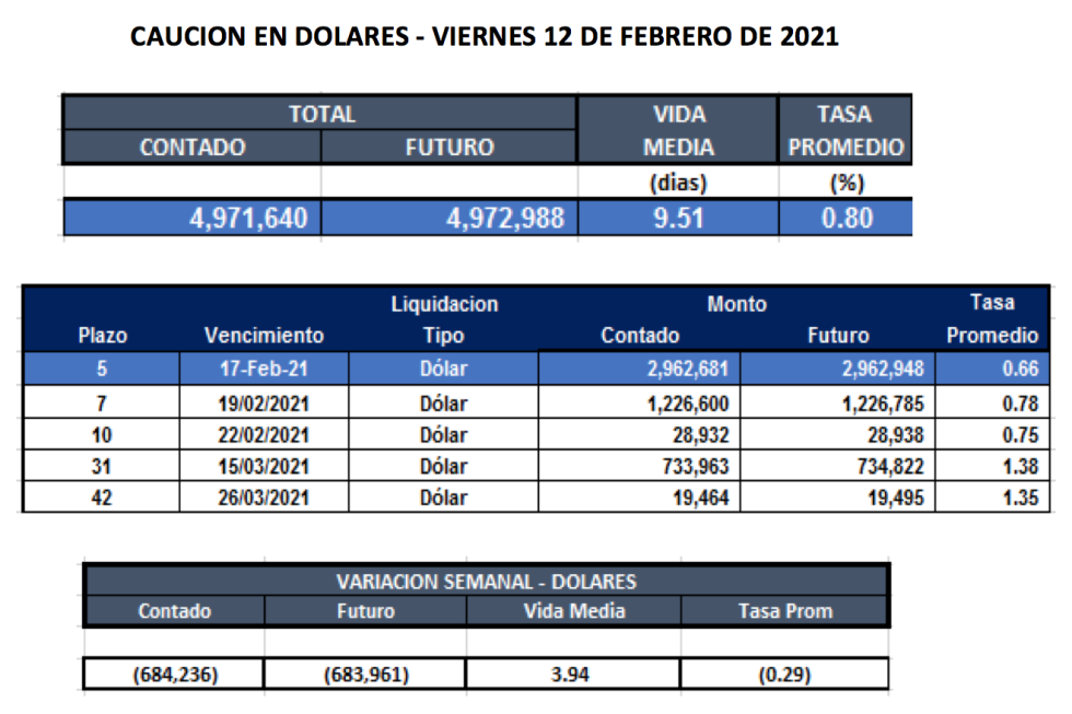 Cauciones bursátiles en dólares al 12 de febrero 2021