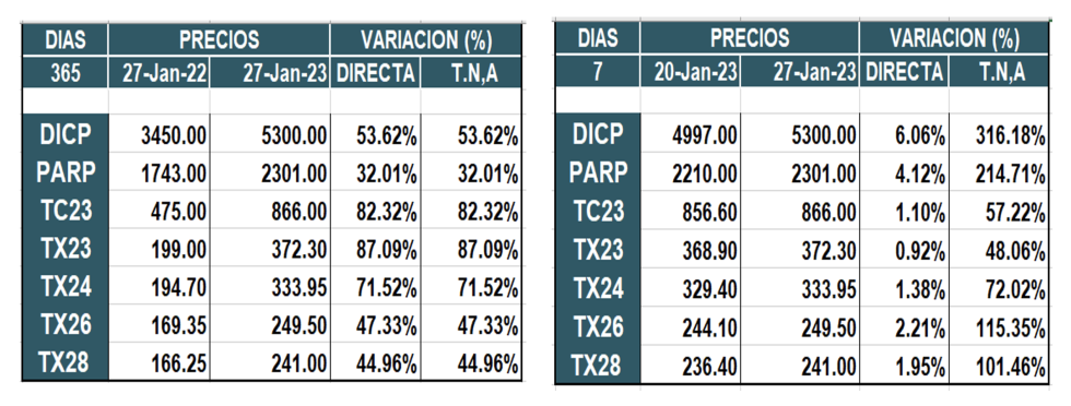 Bonos argentinos en pesos al 27 de enero 2023