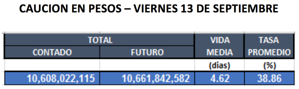 Cauciones en pesos al 13 de septiembre 2019