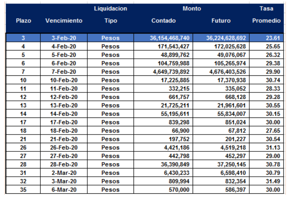 Cauciones en pesos al 31 enero 2020