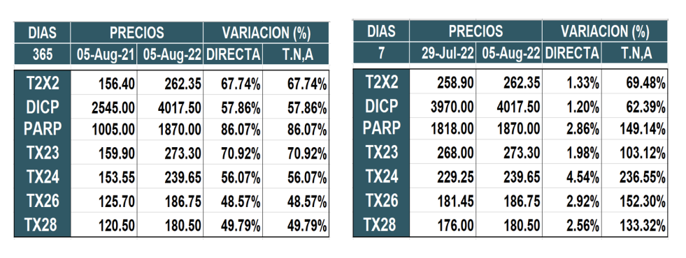 Bonos argentinos en pesos al 5 de agosto 2022