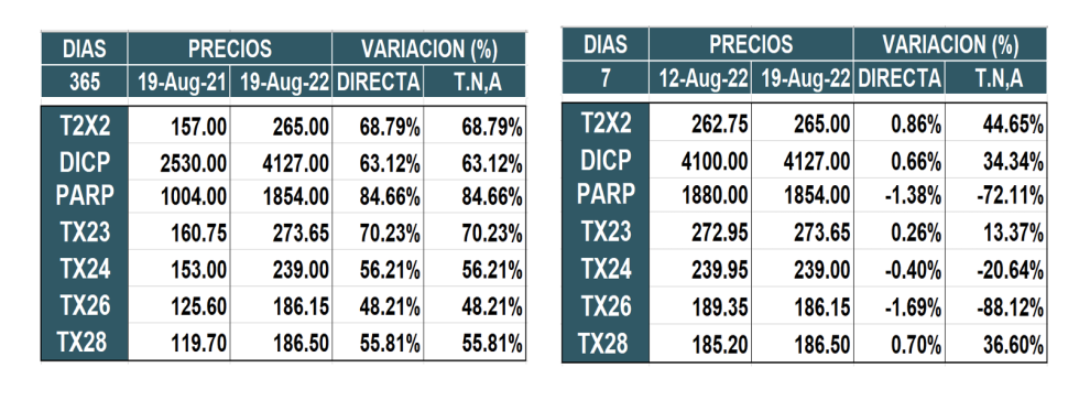 Bonos argentinos en pesos al 19 de agosto 2022