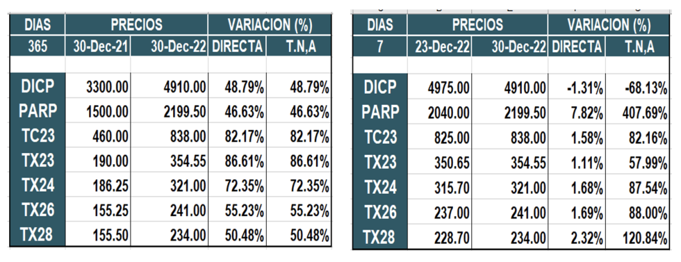 Bonos argentinos en pesos al 30 de diciembre 2022