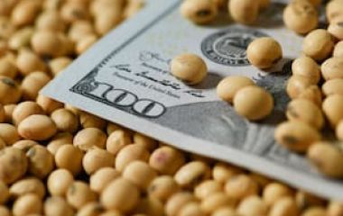 durante-el-periodo-2020-2024-la-agroindustria-MMH3ONJGKZFXPCSMUMY3CYYCEA.JPG