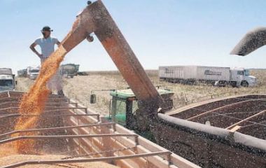 en-entre-rios-comenzo-la-cosecha-de-maiz-a-nivel-66TAUE67YVECHCHCXGSB3LEFHE.jpg