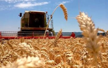 “Doble imposición”: cómo la reforma del Banco Central podría impactar en el campo