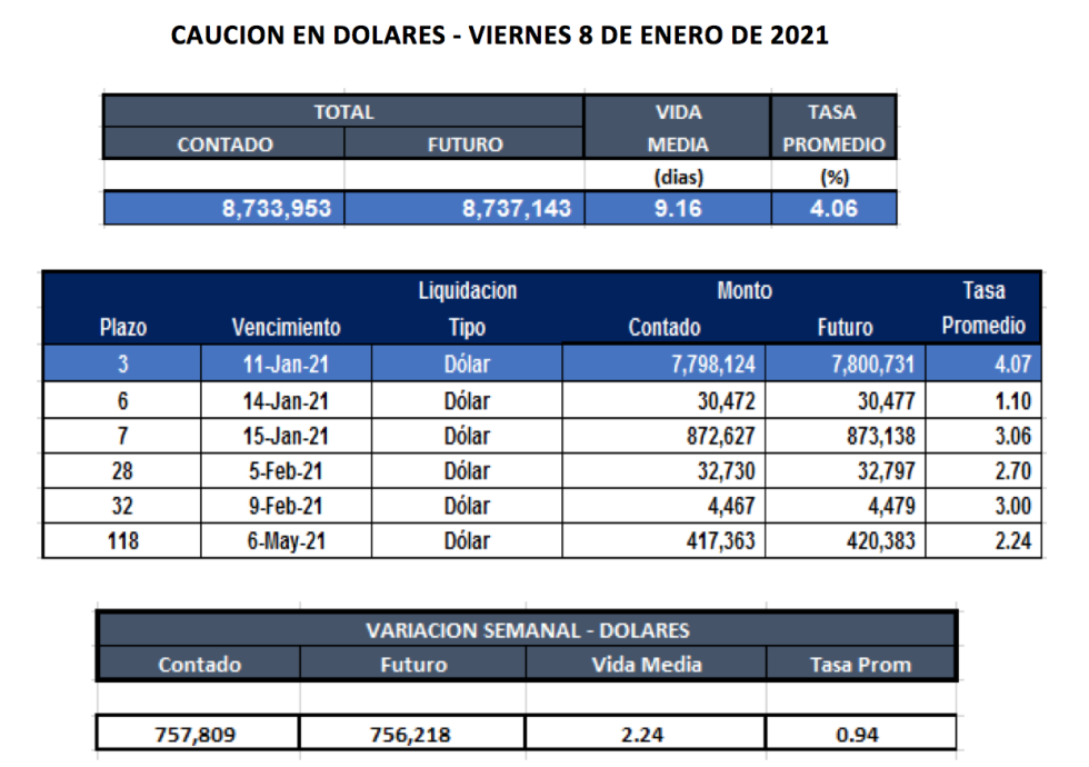 Cauciones bursátiles en dólares al 8 de enero 2021