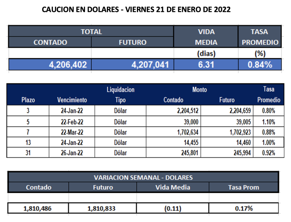 Cauciones bursátiles en dólares al 21 de enero 2022