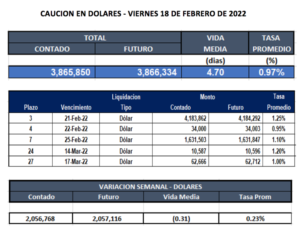 Cauciones bursátiles en dólares al 18 de febrero 2022