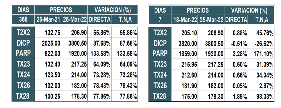 Bonos argentinos en pesos al 25 de marzo 2022