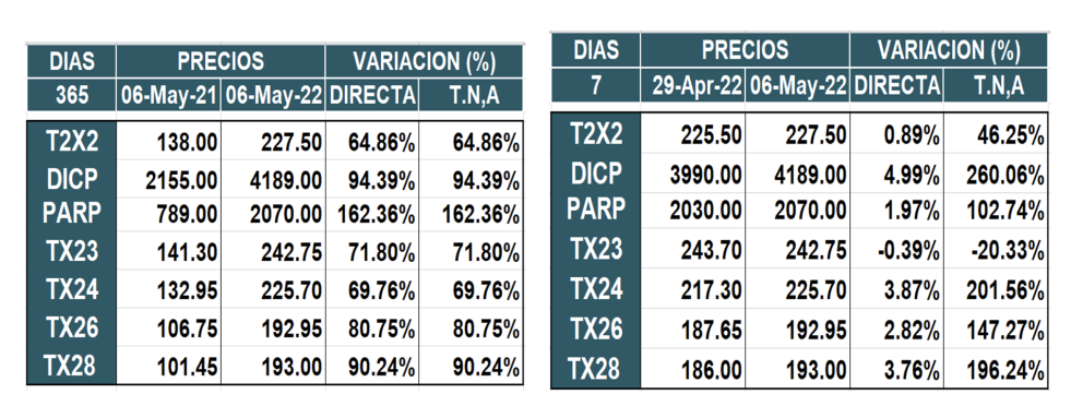  Bonos argentinos en pesos al 6 de mayo 2022