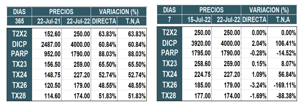 Bonos argentinos en pesos al 22 de julio 2022