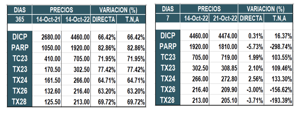 Bonos argentinos en pesos al 21 de octubre 2022