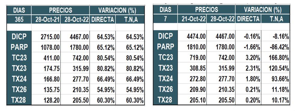 Bonos argentinos en pesos al 28 de octubre 2022