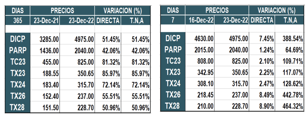 Bonos argentinos en pesos al 23 de diciembre 2022