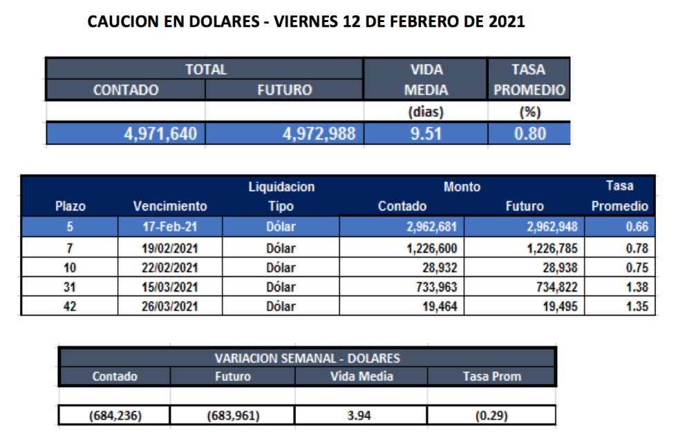 Cauciones bursátiles en dólares al 19 de febrero 2021