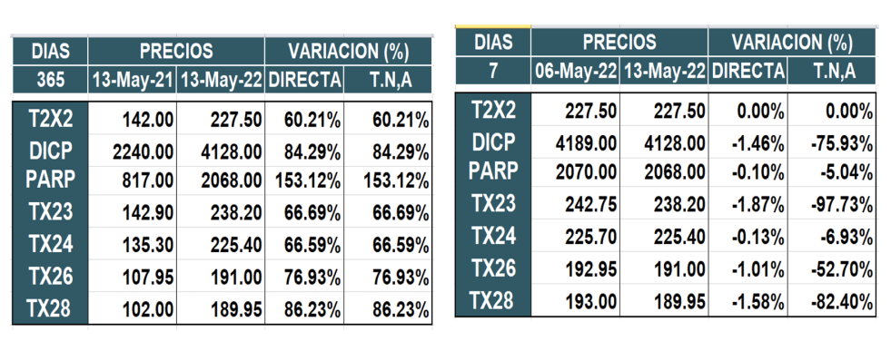 Bonos argentinos en pesos al 13 de mayo 2022