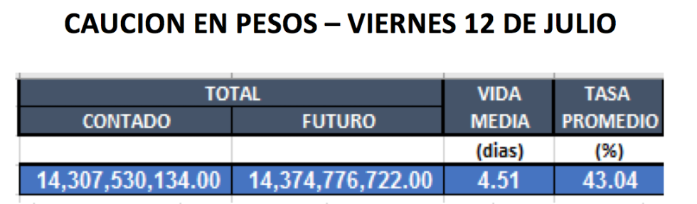 Cauciones en pesos al 12 de Julio 2019