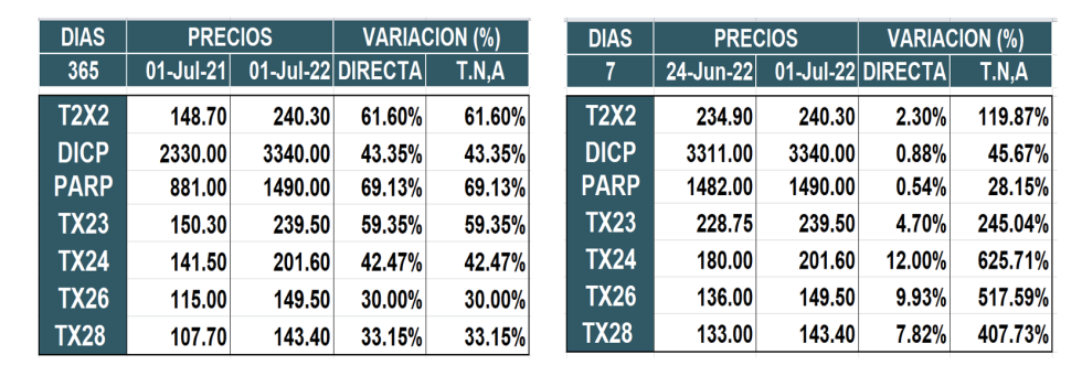 Bonos argentinos en pesos al 1ro de Julio 2022