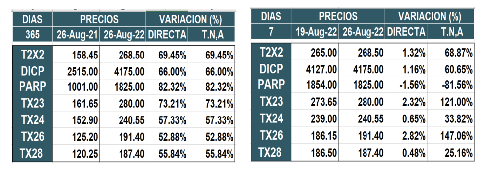 Bonos argentinos en pesos al 26 de agosto 2022