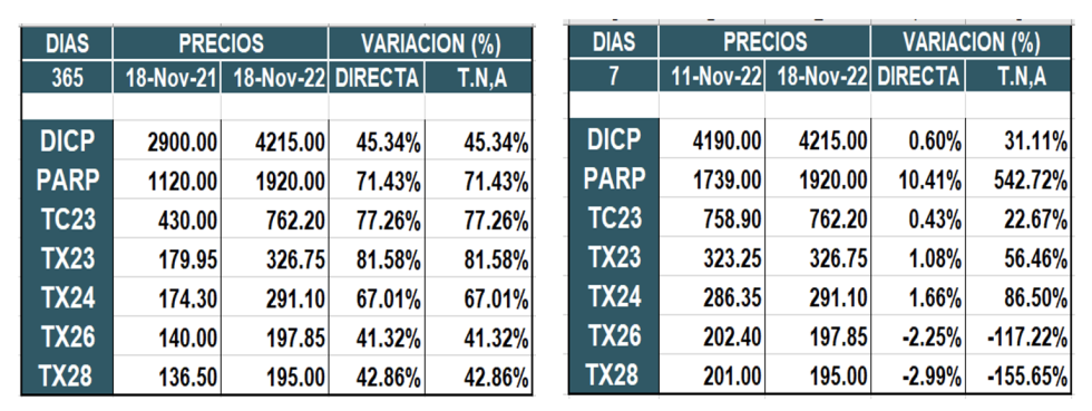 Bonos argentinos en pesos al 18 de noviembre 2022