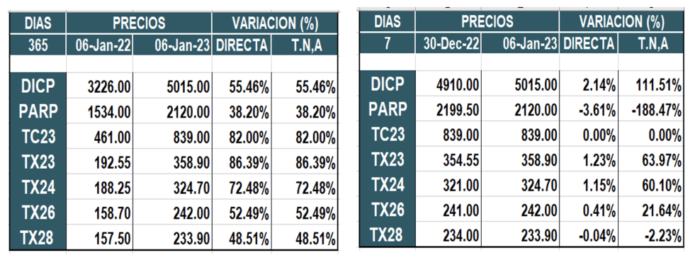 Bonos argentinos en pesos al 6 de enero 2023