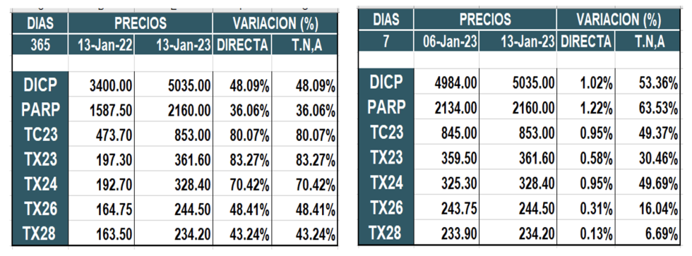 Bonos argentinos en pesos al 13 de enero 2023